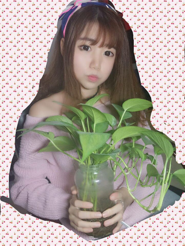 「口袋梦专访」呆萌送头暖